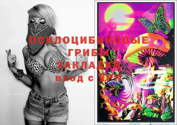 эйфоретик Туринск